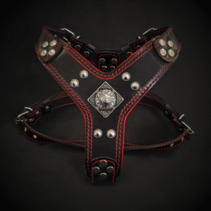 The ''Eros'' harness Black & Red Small to Medium Size