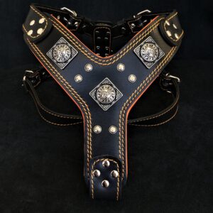 The "Eros" harness Black & Orange