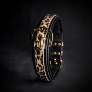 The Leopard Collar