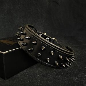 BLACK "Frenchie" collar