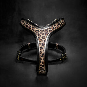 The Leopard Harness