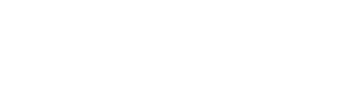 Siippa