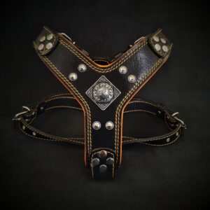 The ''Eros'' harness Black & Orange Small to Medium Size