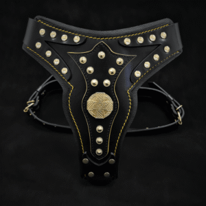 The "Maximus" harness V2